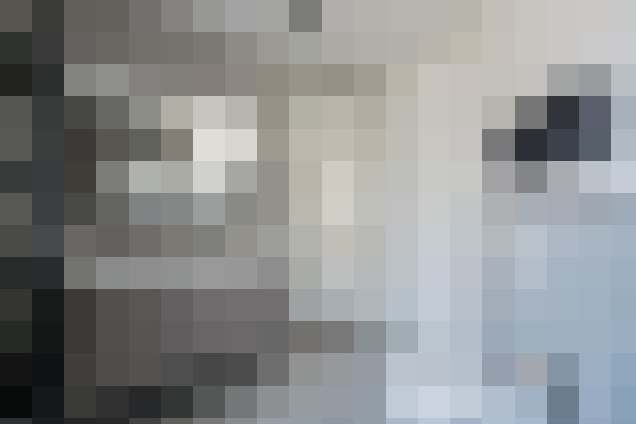 Image 22