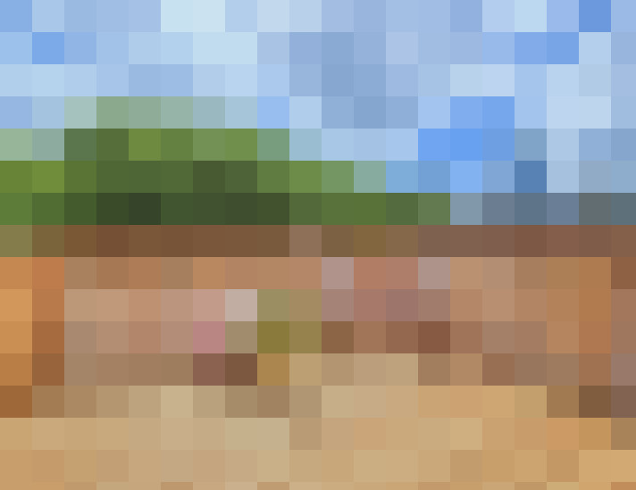 Image 31