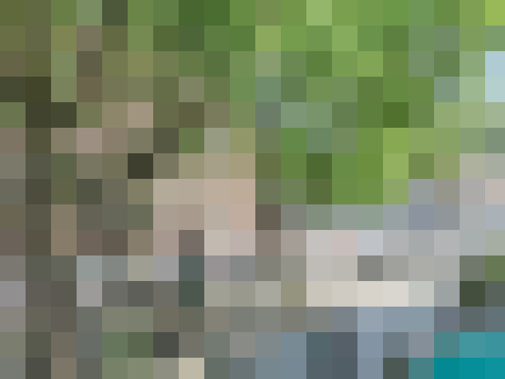 Image 29