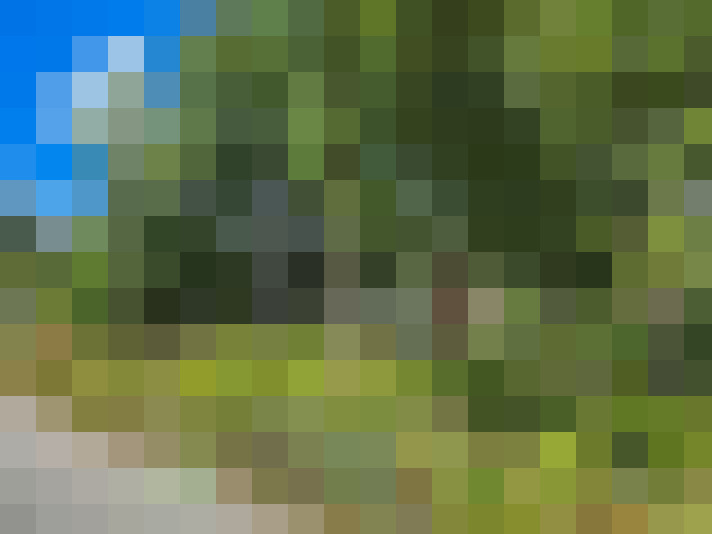 Image 21