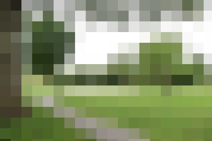 Image 22