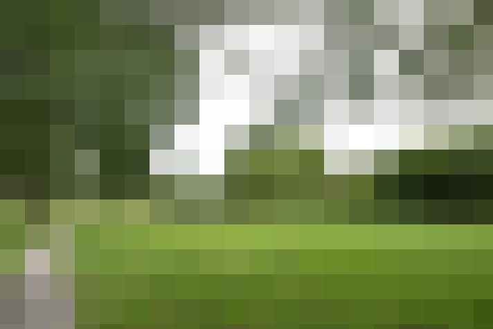 Image 23
