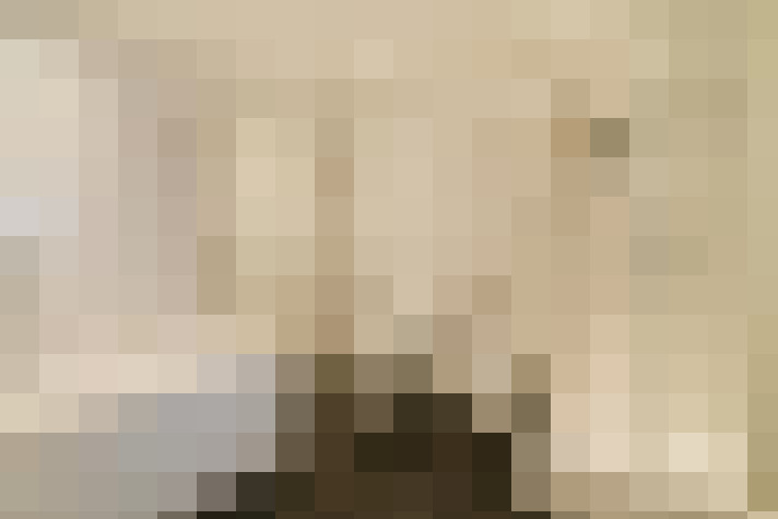 Image 37
