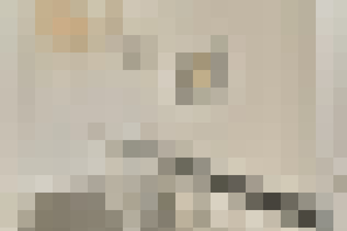 Image 33