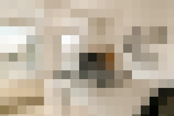 Image 42