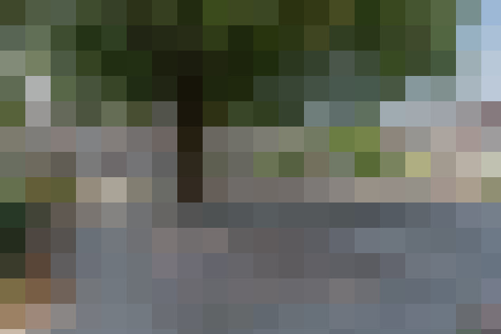 Image 20