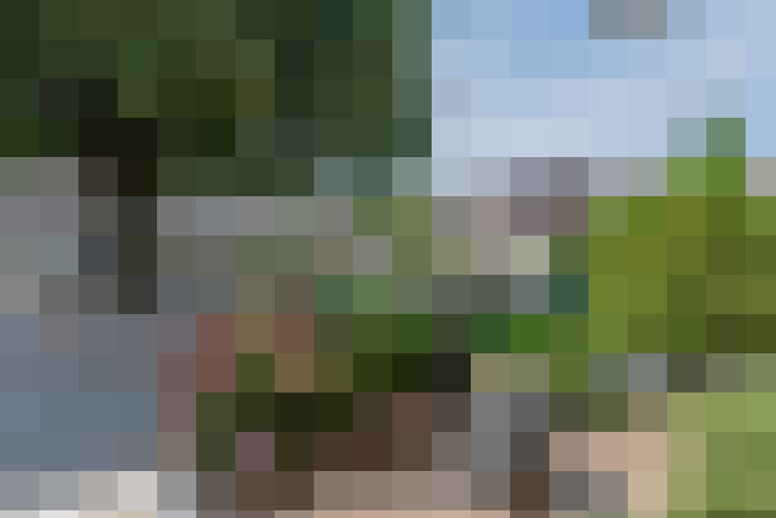 Image 21