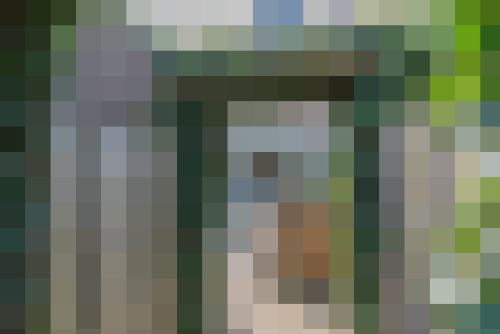 Image 15