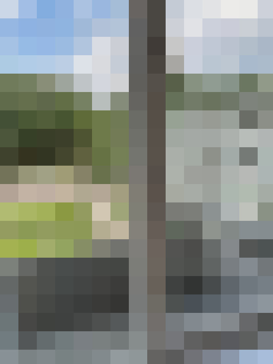 Image 20