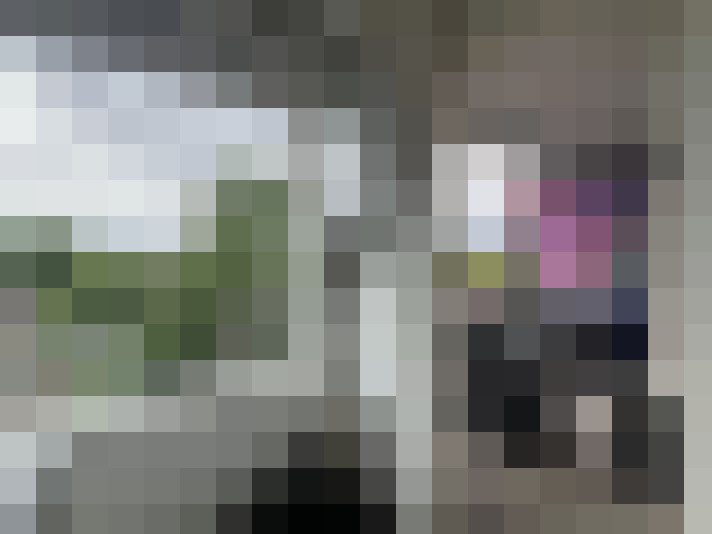 Image 27