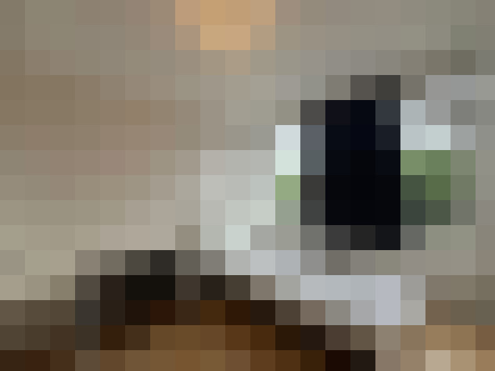 Image 41