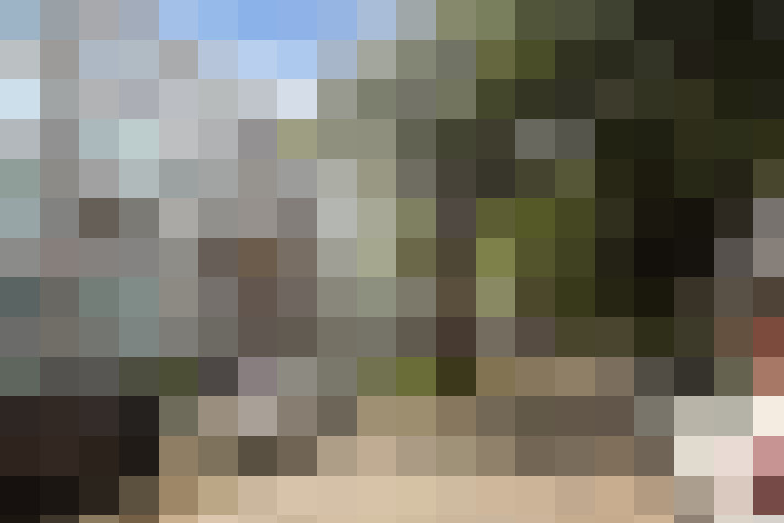 Image 45