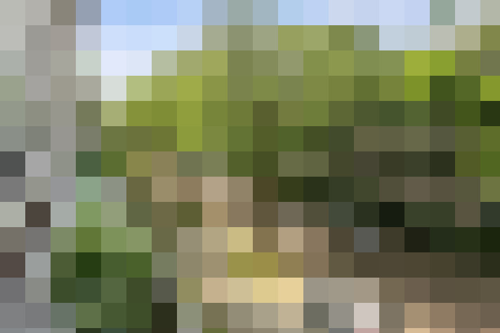 Image 43