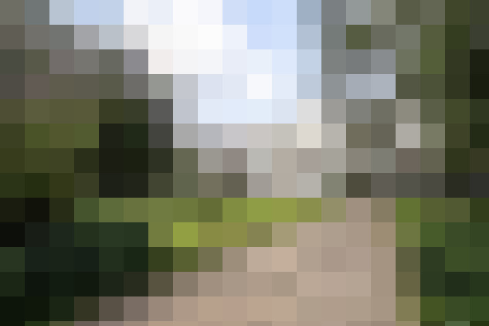 Image 42