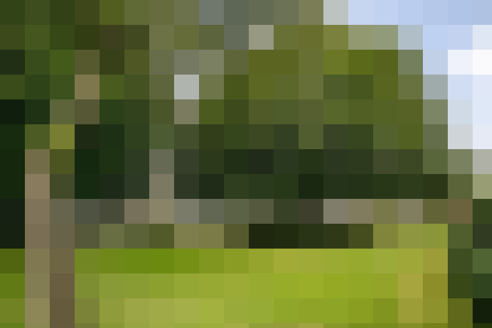 Image 36