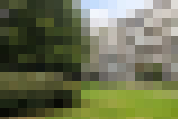 Image 40
