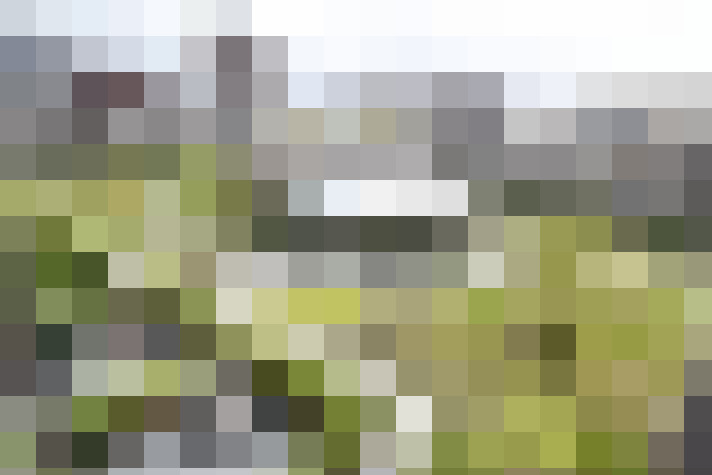 Image 31