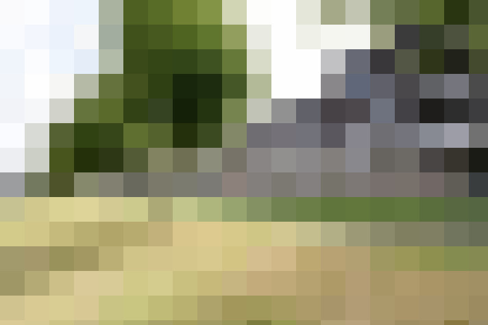 Image 38