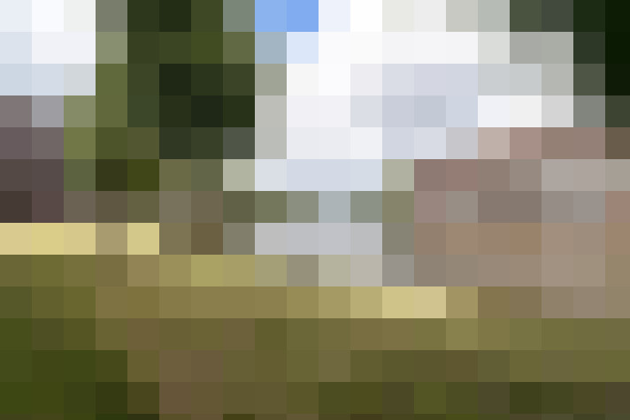 Image 41
