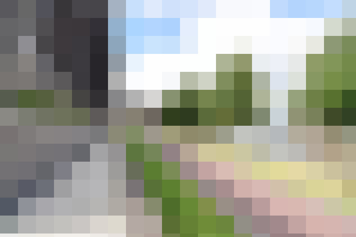 Image 36
