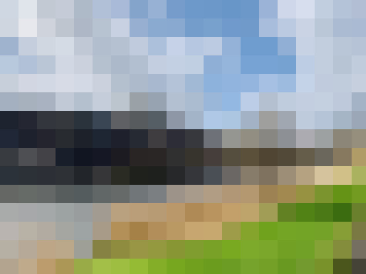 Image 22