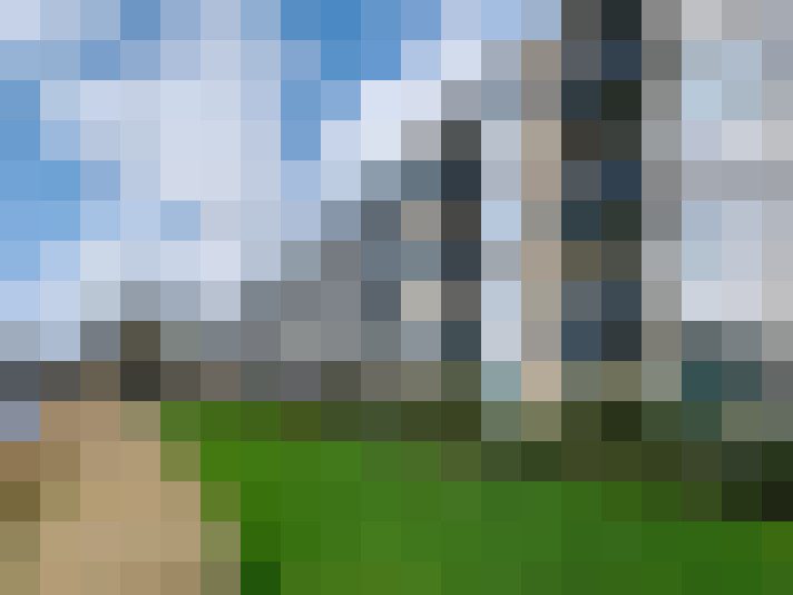 Image 29