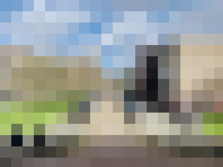 Image 27