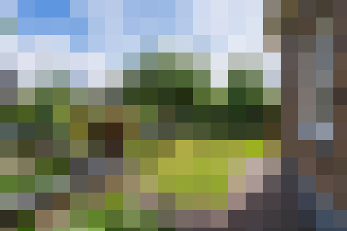 Image 64