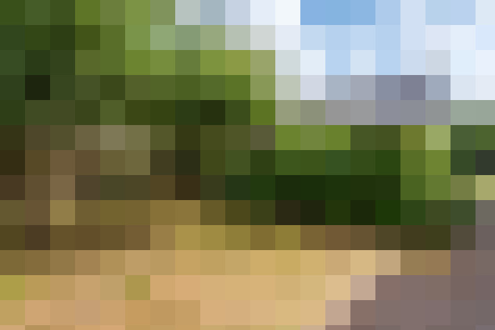 Image 70