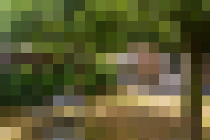 Image 68