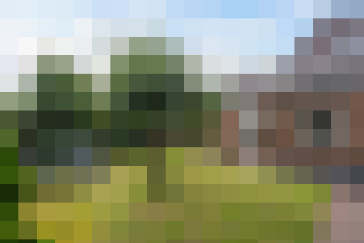 Image 66
