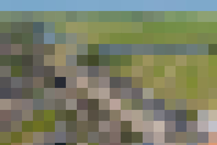 Image 35