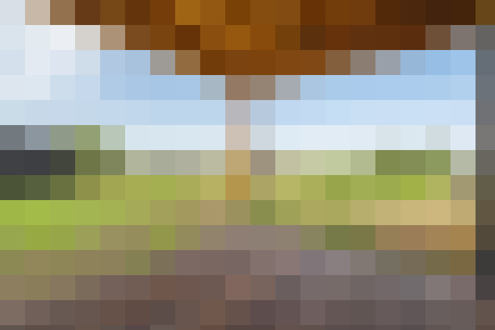 Image 33
