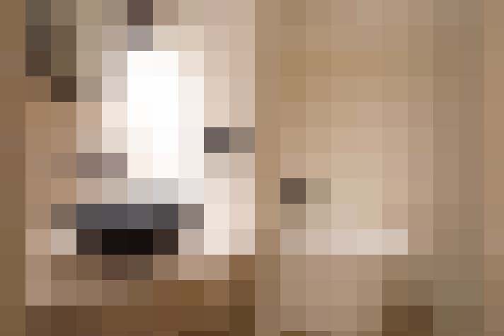 Image 40