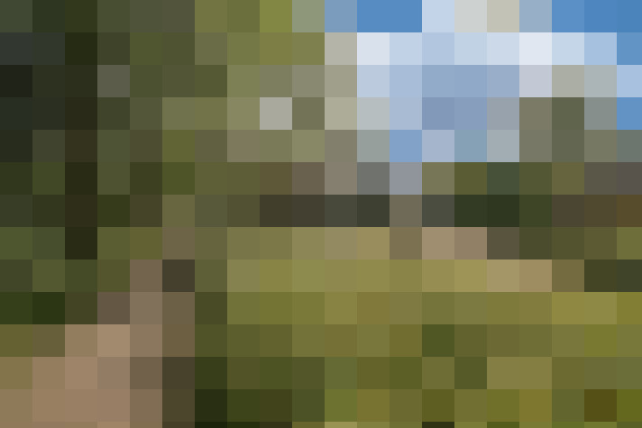 Image 15