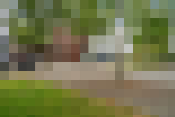 Image 39
