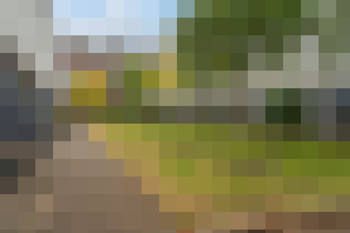 Image 38