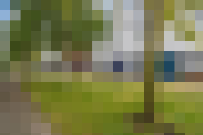 Image 40