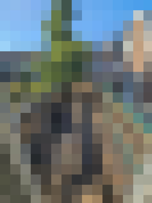 Image 53