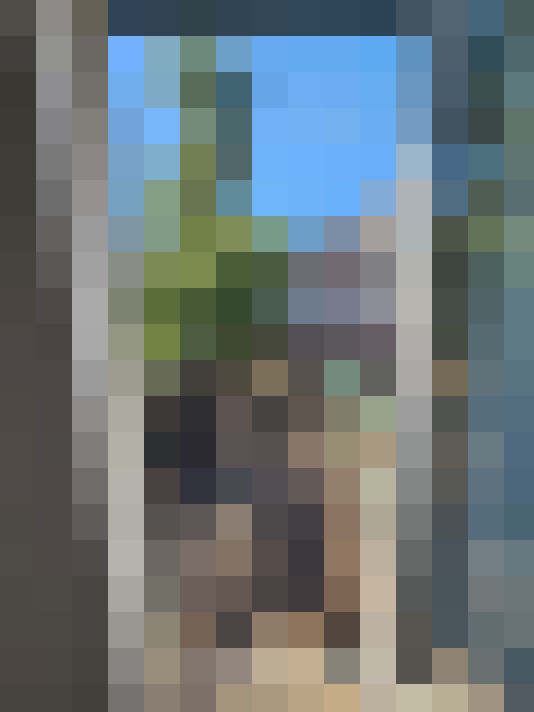 Image 42