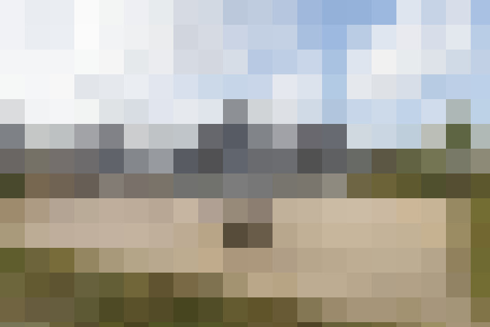 Image 13