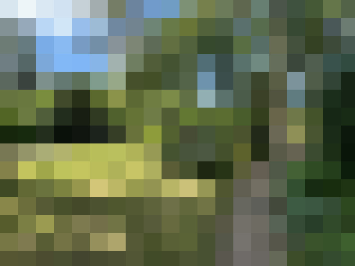 Image 32