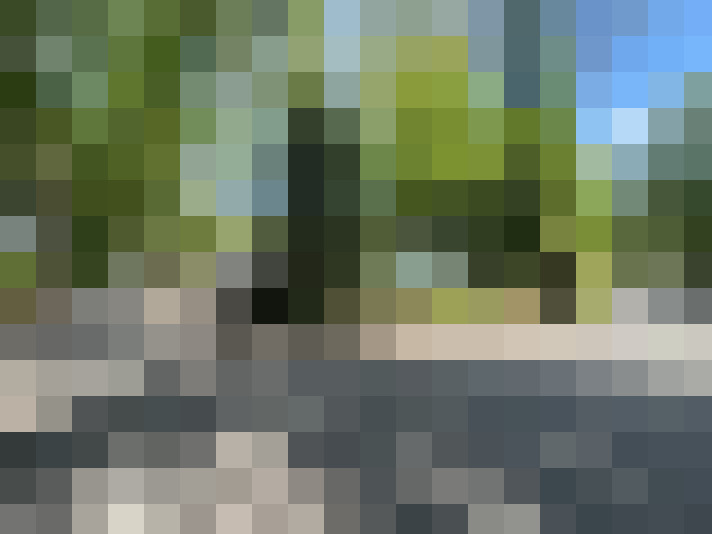 Image 28
