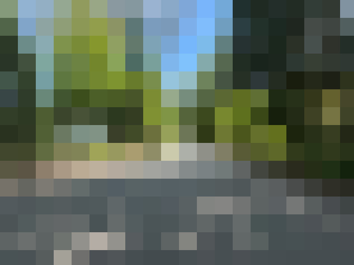 Image 29