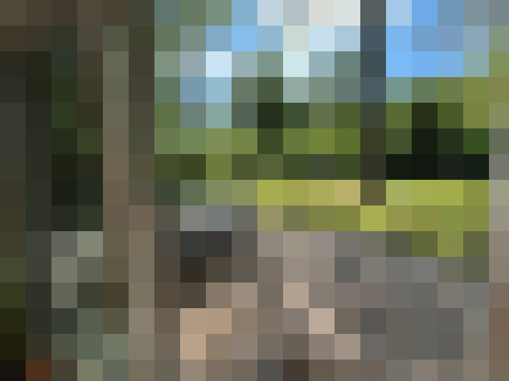 Image 31