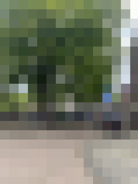 Image 37