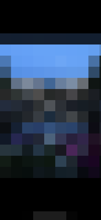 Image 29