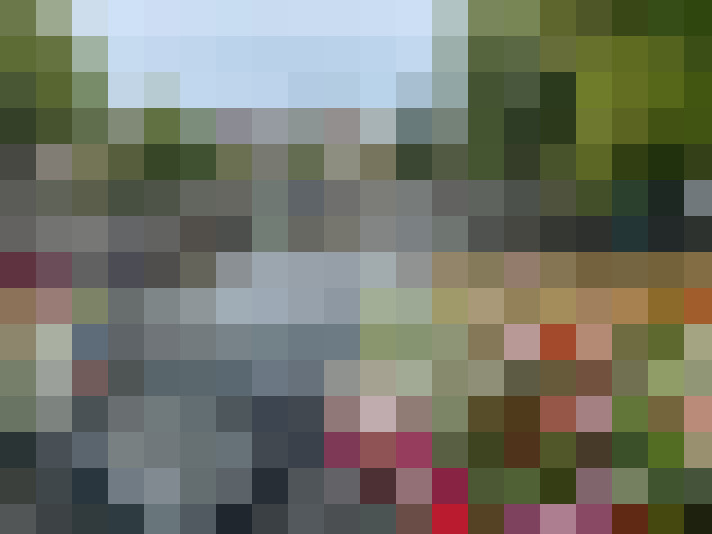 Image 30