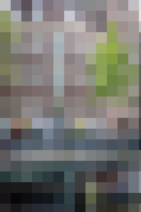 Image 36