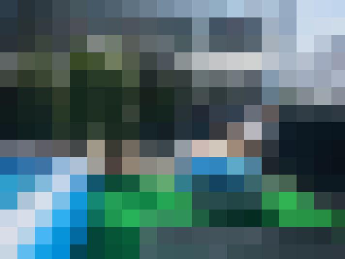 Image 31